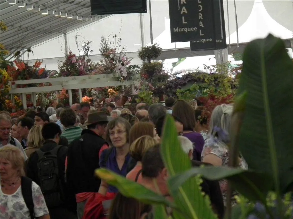 Floral marquee part ii 7